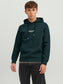 Sudadera verde oscuro con capucha -JORVESTERBRO