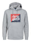 Sudadera con logo colorido gris - JORBECKS